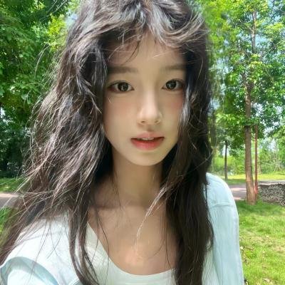 哈莱姆的郁金香